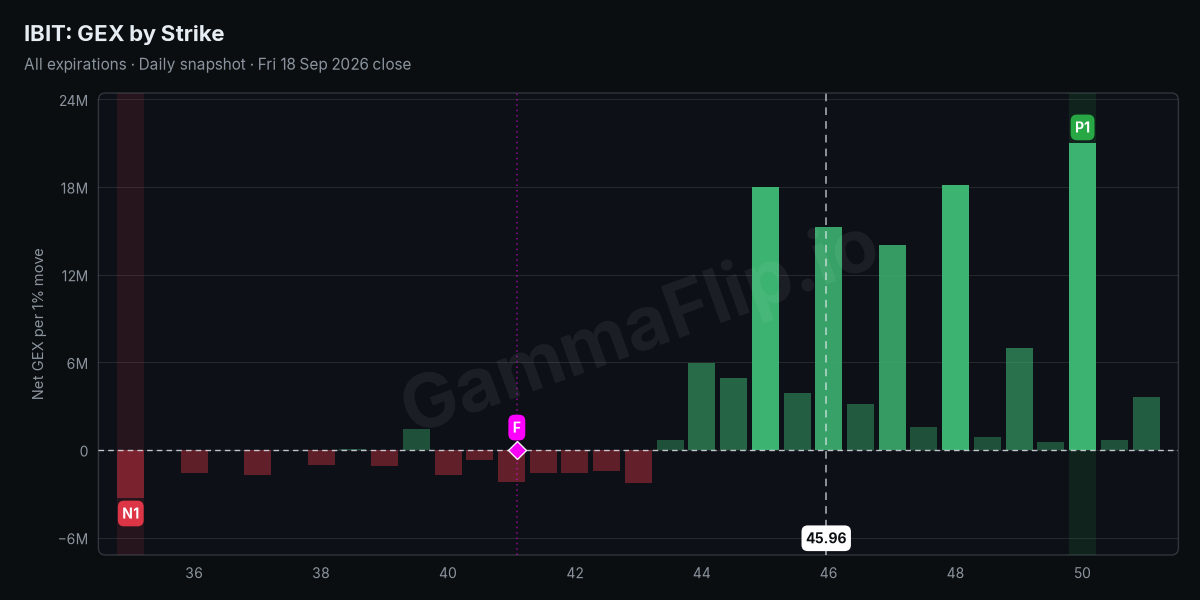IBIT net gamma exposure by strike with spot, gamma flip, P1 and N1